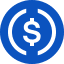 USDC logo